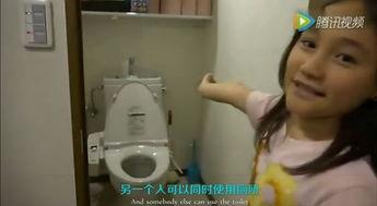 日本厕所视频,独特设计与文化内涵