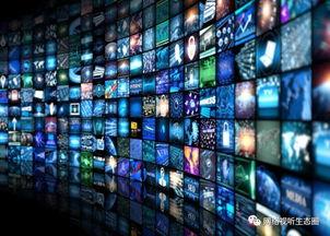 数字视频,捕捉光影瞬间,展现时代风采