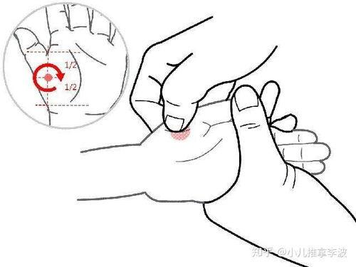 小儿推拿视频调理脾胃,跟随推拿视频，呵护宝宝健康成长