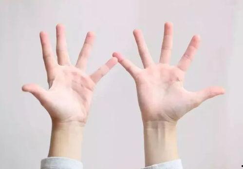 简单手指操视频,简单视频教程助您健康生活