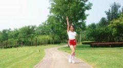 立正敬礼舞蹈视频,一场视觉与情感的盛宴