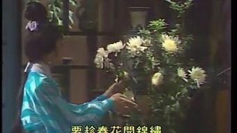 鲜花满月楼视频,一场视觉盛宴的浪漫之旅