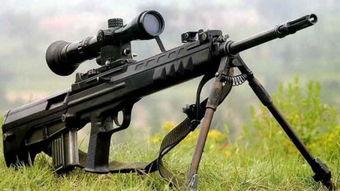 牙签枪的做法视频,轻松上手，创意无限