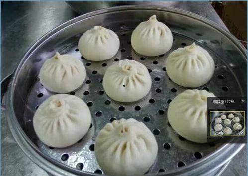 小包子视频,趣味横生的日常瞬间，带你领略生活百态