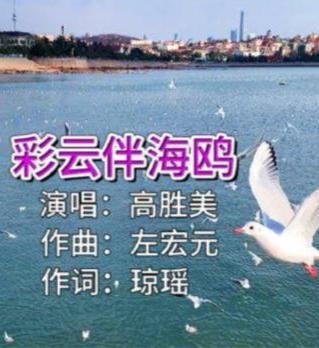 海鸥歌曲视频,追寻自由与梦想的旋律之旅