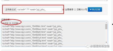 提取爱奇艺视频,热门视频背后的精彩故事