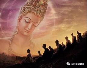 佛说视频,揭示禅宗智慧与人生哲理的精彩篇章